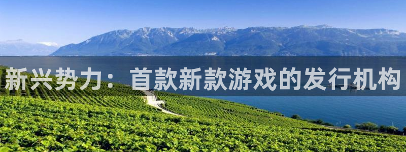 杏耀官网游戏怎么注册：新兴势力：首款新款游戏的发行机构