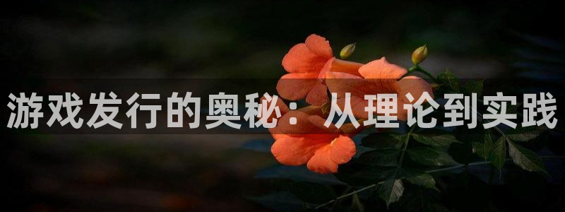杏耀官网注册地址：游戏发行的奥秘：从理论到实践