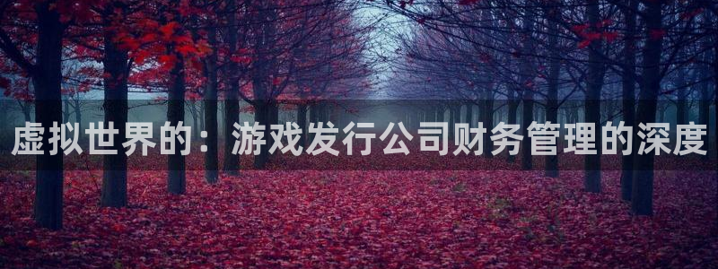 杏耀官网登录注册失败怎么回事：虚拟世界的：游戏发行公司财务管理的深度