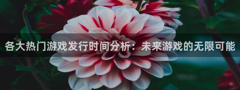 杏耀电子商务有限公司电话