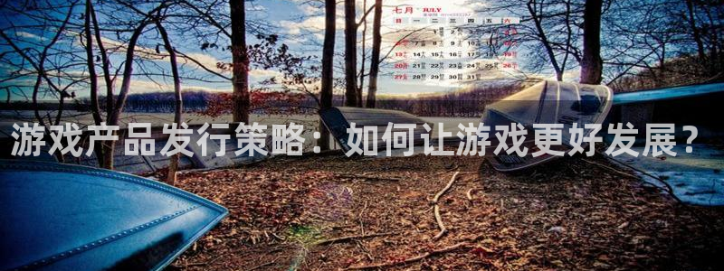 杏耀官网：游戏产品发行策略：如何让游戏更好发展？
