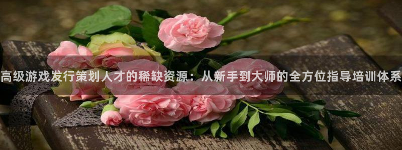 杏耀品牌：高级游戏发行策划人才的稀缺资源：从新手到大师的全方位指导培训体系