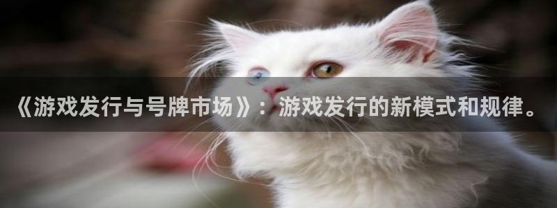 杏耀官网注册平台是什么意思：《游戏发行与号牌市场》：游戏发行的新模式和规律。