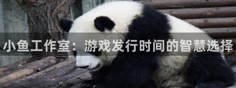 杏耀注册开户：小鱼工作室：游戏发行时间的智慧选择