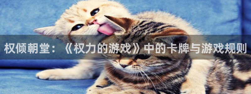 杏耀官网客服：权倾朝堂：《权力的游戏》中的卡牌与游戏规则