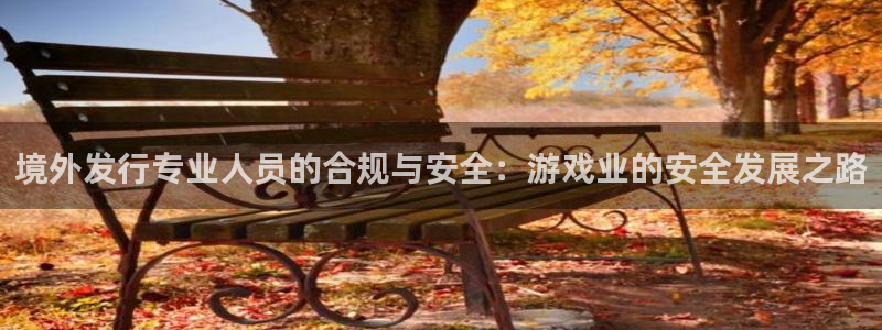 杏耀官网注册平台官网登录：境外发行专业人员的合规与安全：游戏业的安全发展之路