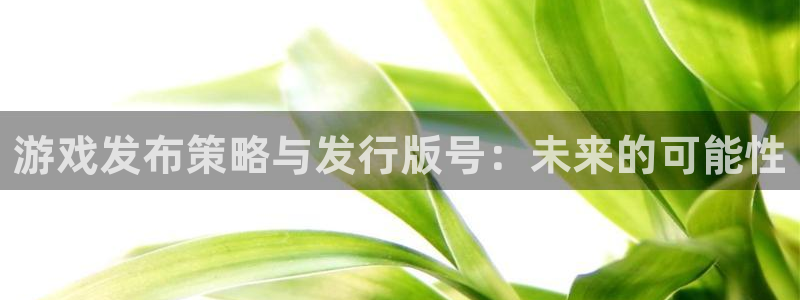 杏耀logo：游戏发布策略与发行版号：未来的可能性