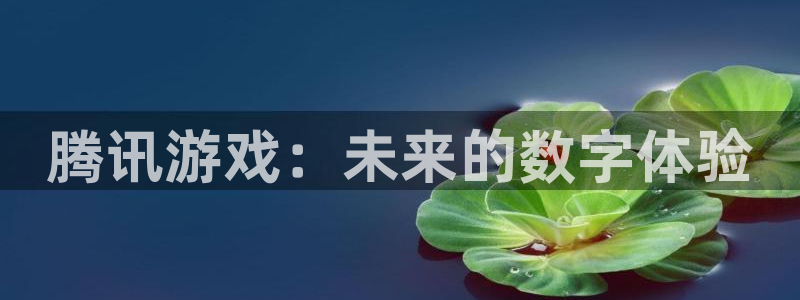 作者杏耀子小说：腾讯游戏：未来的数字体验