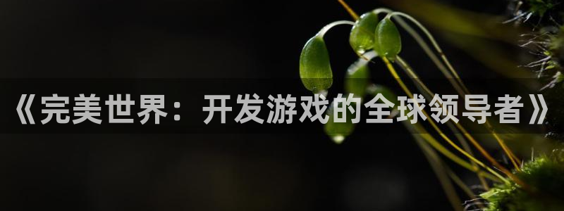 杏耀子财经图书