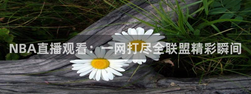 nba在线直播观看直播说球帝：NBA直播观看：一网打尽全联盟精彩瞬间