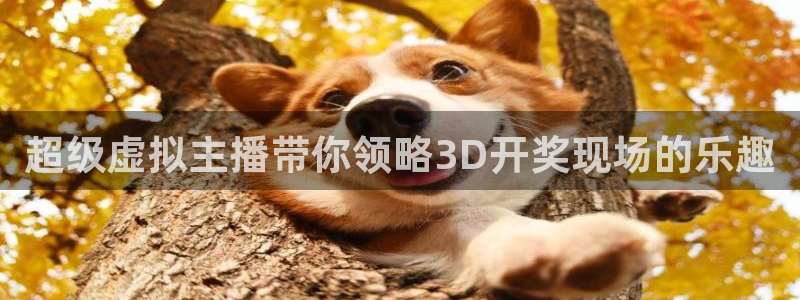 说球帝app下载：超级虚拟主播带你领略3D开奖现场的乐趣