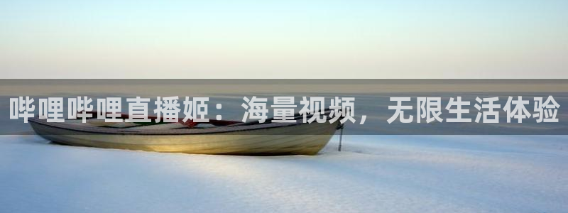 说球帝nba直播：哔哩哔哩直播姬：海量视频，无限生活体验
