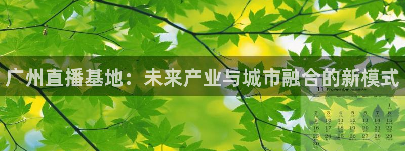 说球帝最新版免费直播：广州直播基地：未来产业与城市融合的新模式