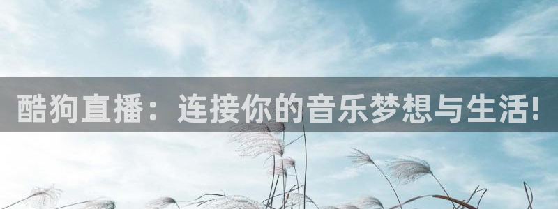 说球帝nba直播在线观看免费回放：酷狗直播：连接你的音乐梦想与生活!